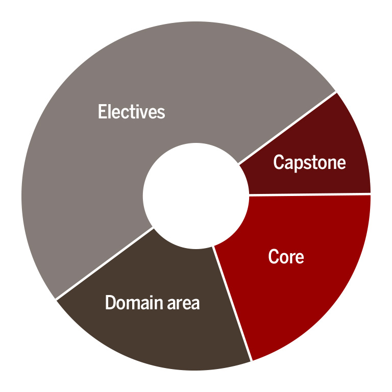 A pie chart with electives, capstone, core, and domain area sections