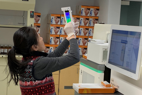 A student sets up an experiment in the lab